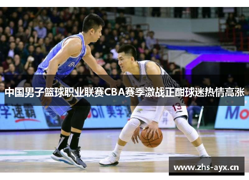 中国男子篮球职业联赛CBA赛季激战正酣球迷热情高涨