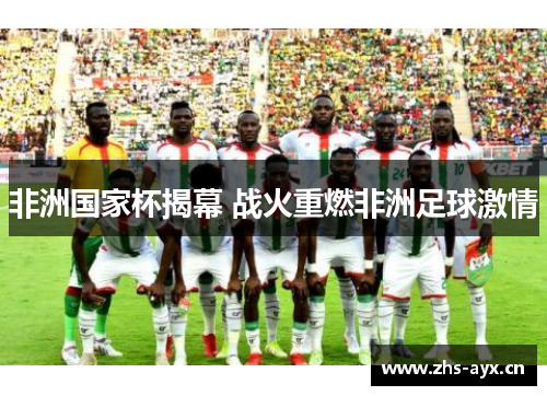 非洲国家杯揭幕 战火重燃非洲足球激情