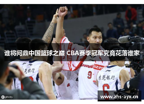 谁将问鼎中国篮球之巅 CBA赛季冠军究竟花落谁家